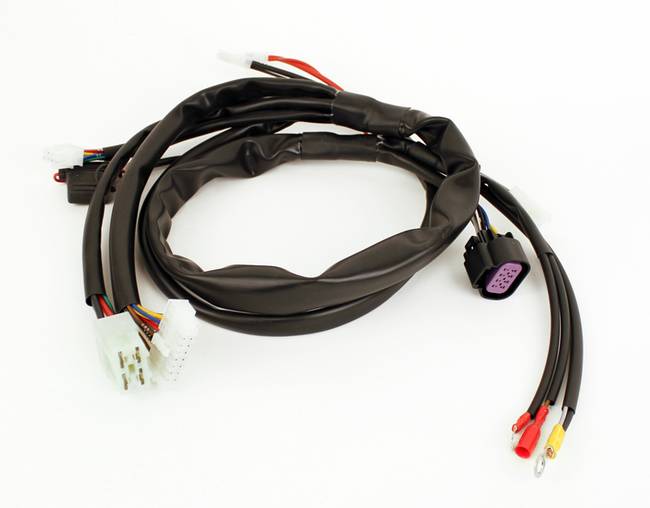 No 299A X30 WIRING LOOM 2015 ON