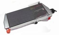 RADIATOR ASSEMBLY ROTAX 125 MAX/EVO product image