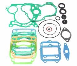 ROTAX MAX AND EVO COMPLETE GASKET/SEAL KIT product image
