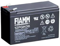 BATTERY 12 VOLT FIAMM product image