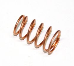 No 44 ROTAX MAX AND EVO THERMOSTAT RETAINING SPRING product image