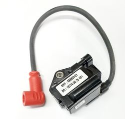 No 12 COIL IGNITION ROTAX EVO product image