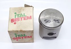 50.95 SILVER PISTON AND 2 RING product image