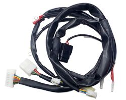 No 299 [TOP DIAGRAM] IAME RL/X30 WIRING LOOM PRE 2015 product image